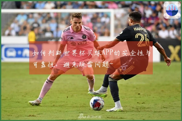 如何判断世界杯买球APP的安全性与可靠性，避免踩雷问题-