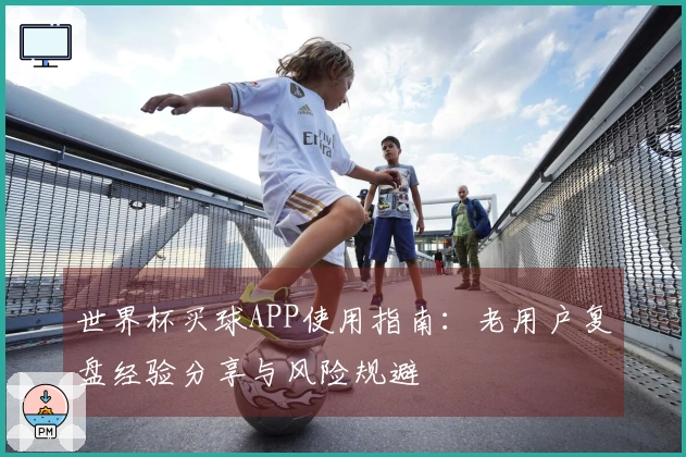 世界杯买球APP使用指南：老用户复盘经验分享与风险规避