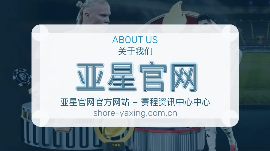 亚星官网公司简介与平台服务展示
